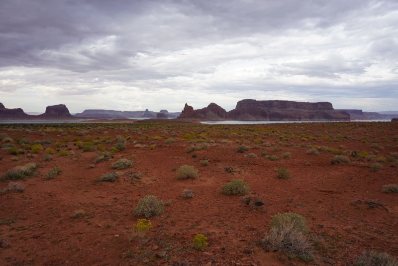 Plateau above Face Canyon