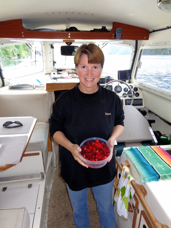 Plentiful and free salmon berries from Baranof about to become a yummy treat.
