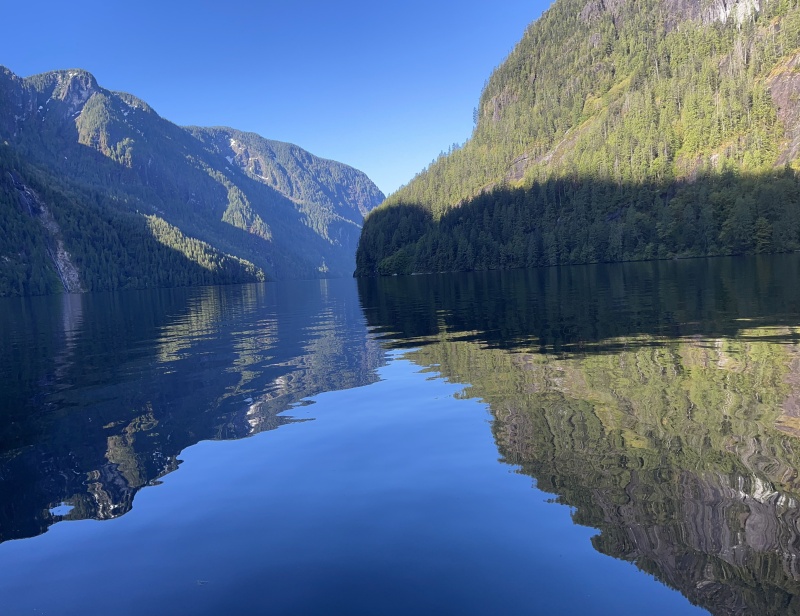 PLI in typical glassy calm