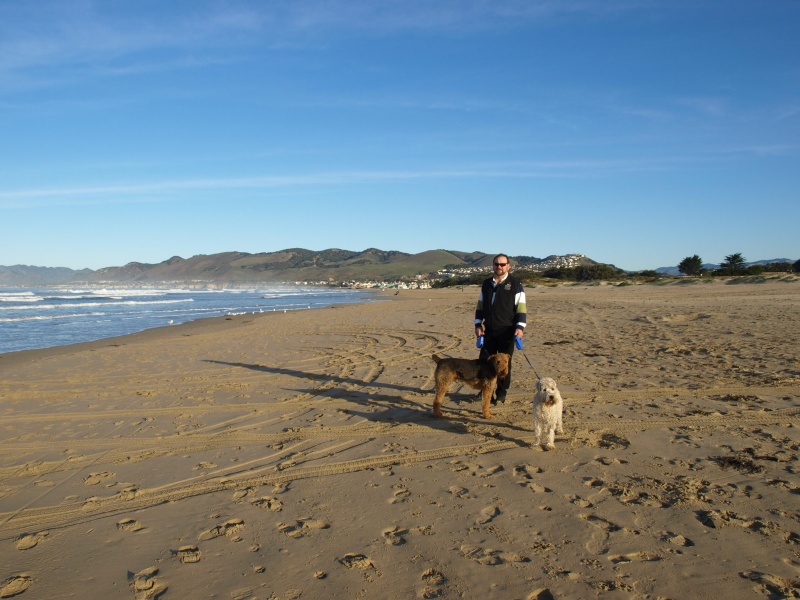 Plismo beach California