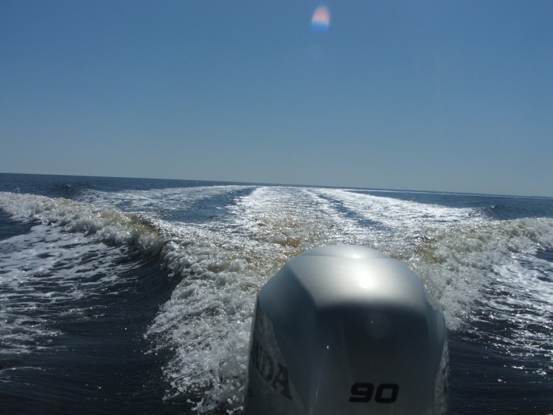 Plying a very peaceful Neuse River (20FEB10