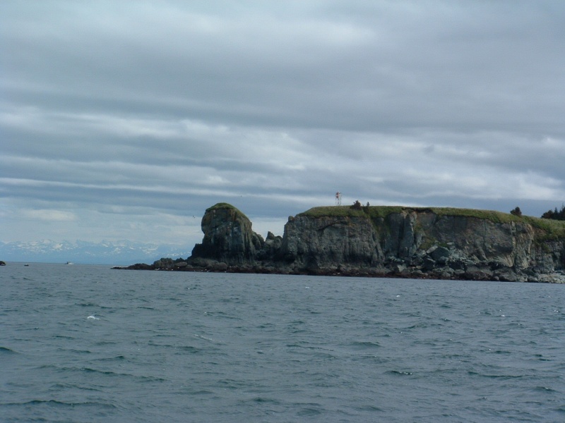 Pogi Point, out on Cook Inlet near Seldovia AK