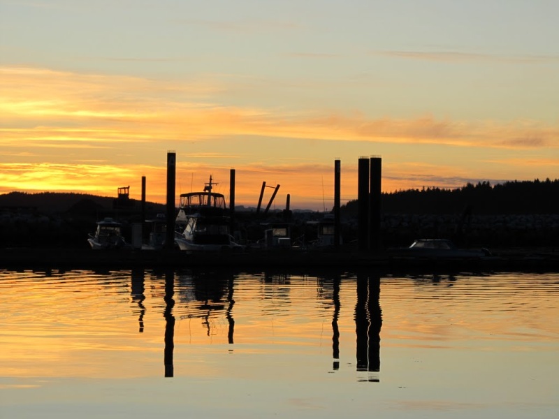 Port Mcneill