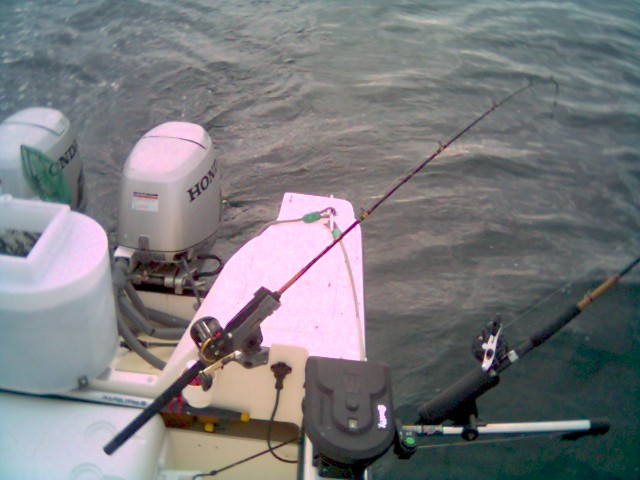 Port side Downrigger. Same setup on the starboard side.