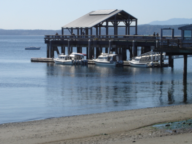 Port Townsend for lunch.
CHESTER, TRAVELER, 
BLUE C & R-MATEY