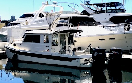 Portside in Canada.  Privacy Curtains are up and boat is connected to Shorepower using newly installed SmartPlug.