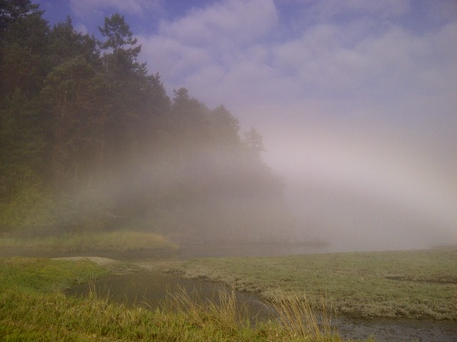 Pot of Gold?