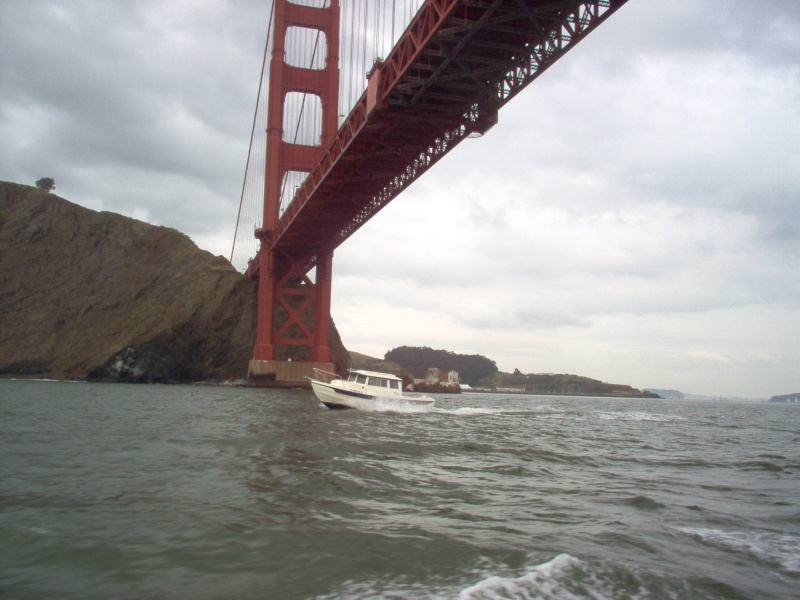 Pounder under the Golden Gate Bridge