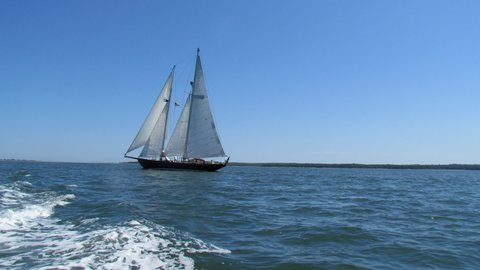 Pretty sailboat