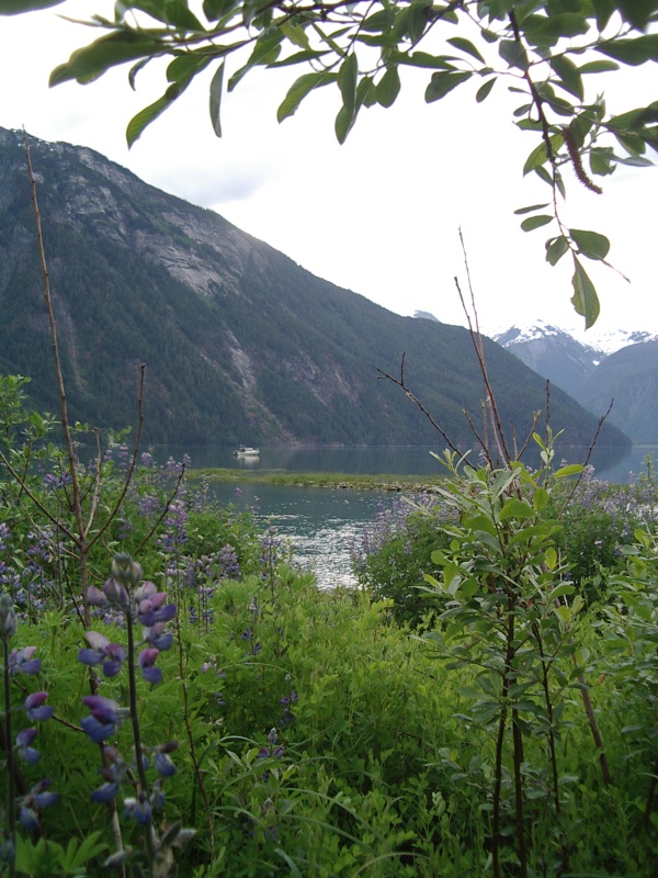 Price Cove