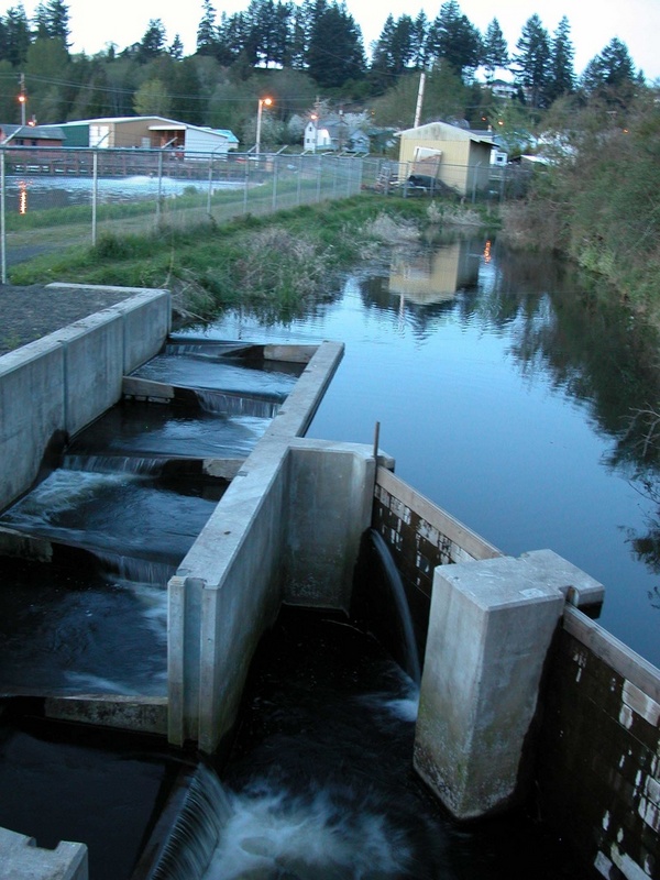 (Primative) 
Fish ladder