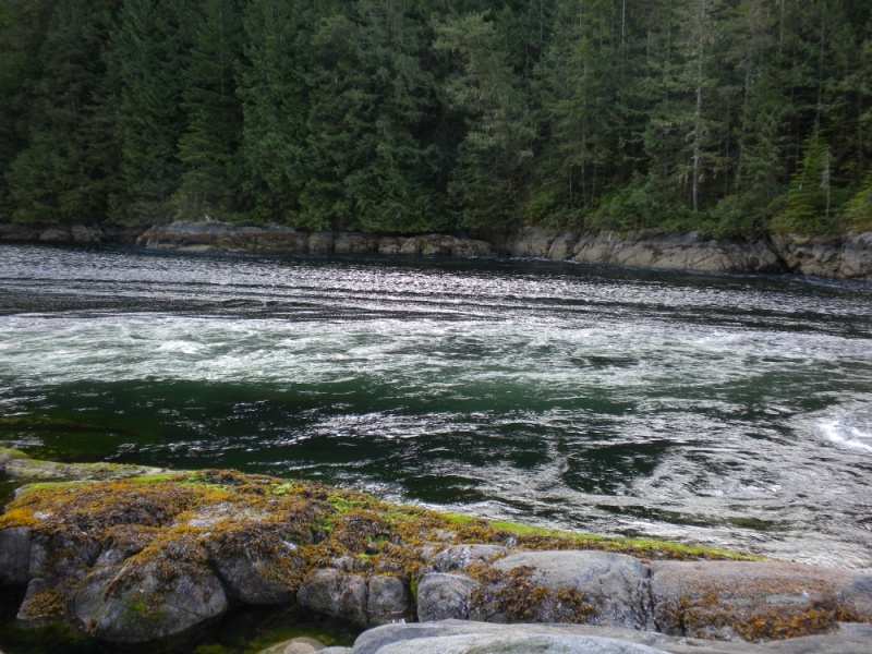 Princess Louisa Inlet, July, 2010 - 107 - Malibu Rapids