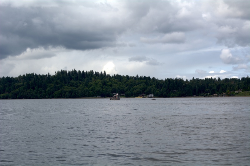 Probably can't see the dead grey whale in Budd Inlet. Harbor patrol boat just pulling up to it, after recieving the report a short while earlier.