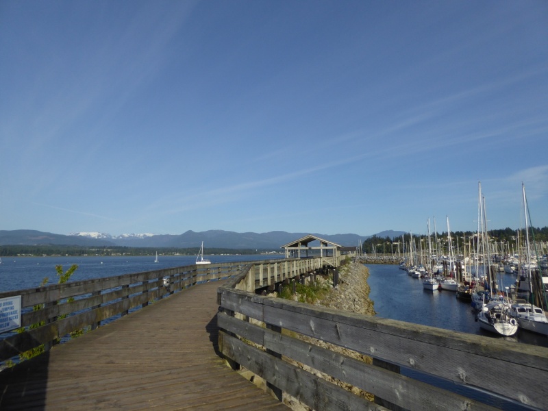 Public wharf at Comox Tues morning, waiting for winds to die down