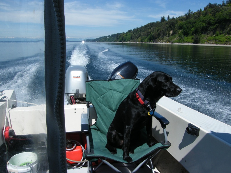 Puck, on her first ride in the 16.