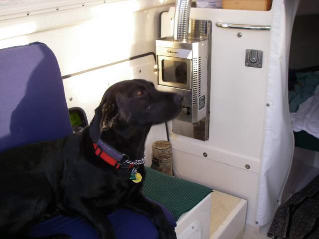 Puck's first ride in the boat.