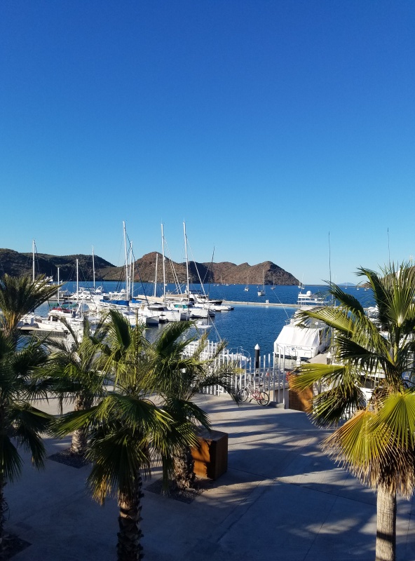 Puerto Escondido marina, from the restaurant deck, they have a brick oven for pizza, great ones.
January 2020