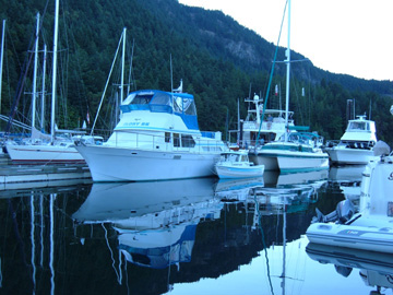 Quiet time at Genoa Bay