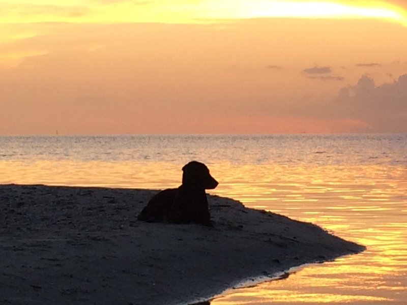 Quiet time.....