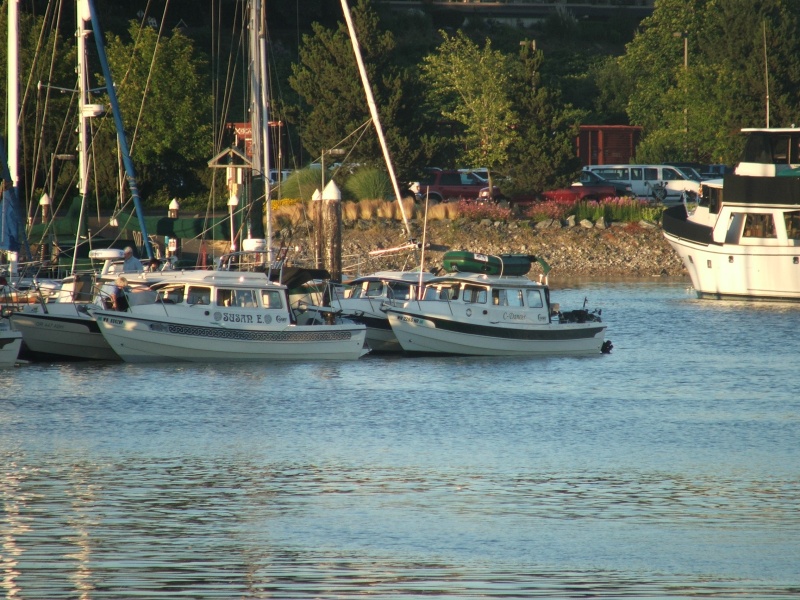 Rafting neighbors at the far end of the dock