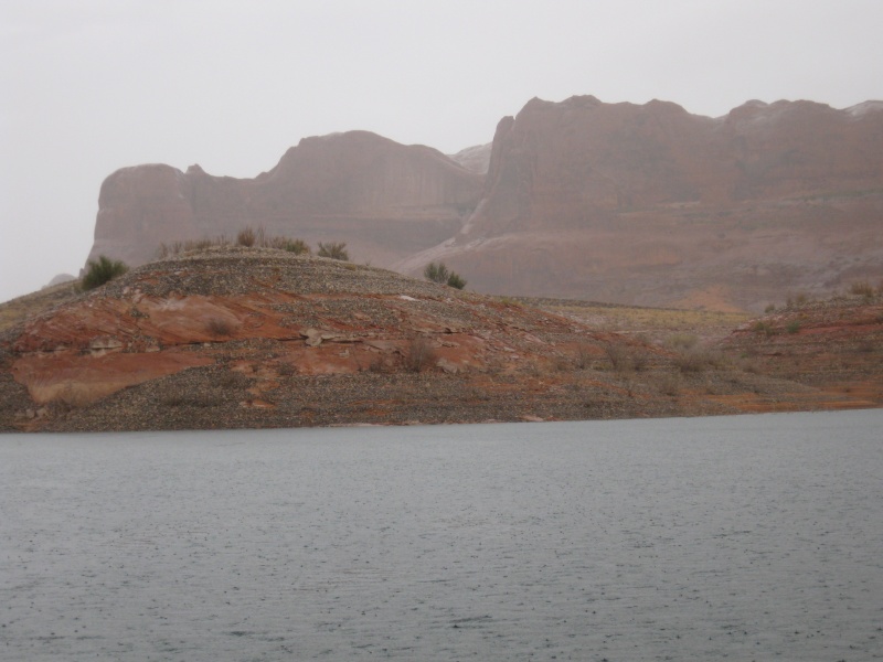 Rain in the desert