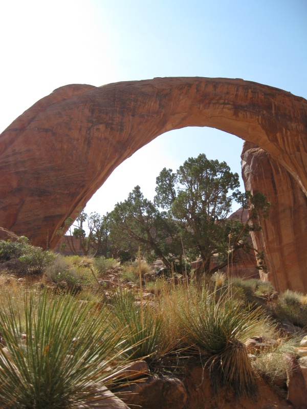 Rainbow Bridge -- C-View