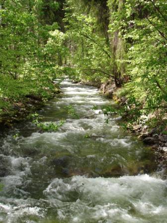 Rainbow Creek