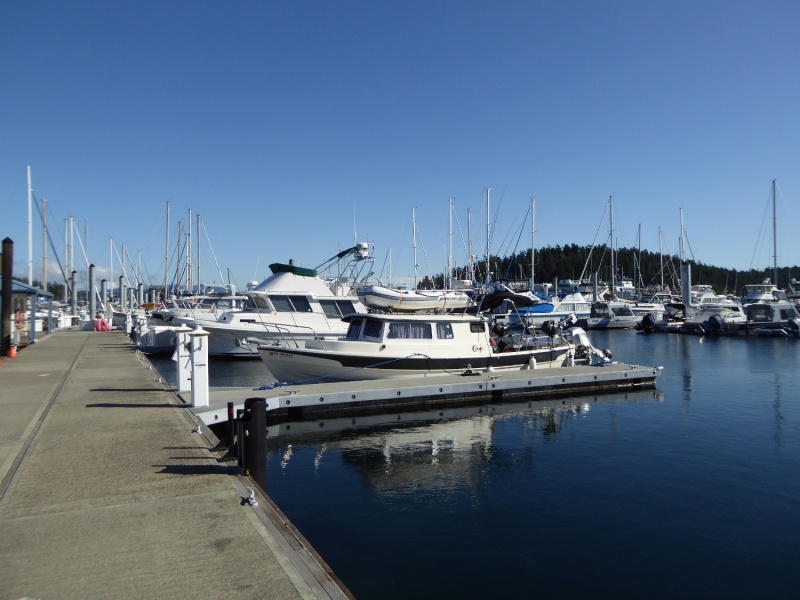 Ran into Tom and Susan at Friday Harbor shortly after taking this photo of their boat