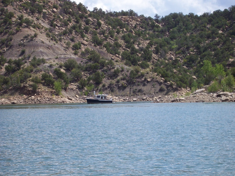 Ranger 29, Spirit of Gratitude at anchor