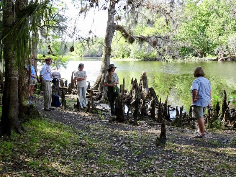 Ranger talk and walk.  On Hontoon Dead River.