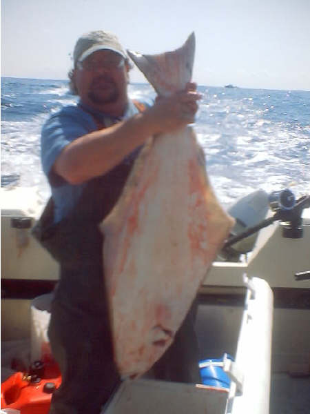 Rayfish0.jpg