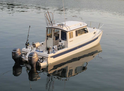 Ready to fish