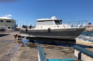 Ready to go fishing