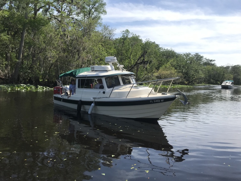 Ready to weed anchor on the Hontoon Dead River