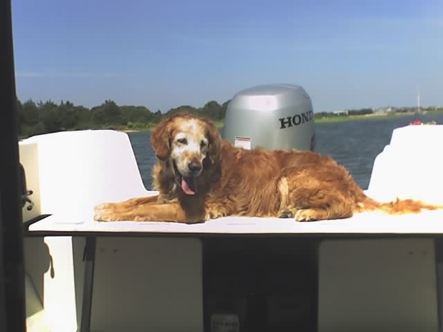 Rear Bench Seat in Use