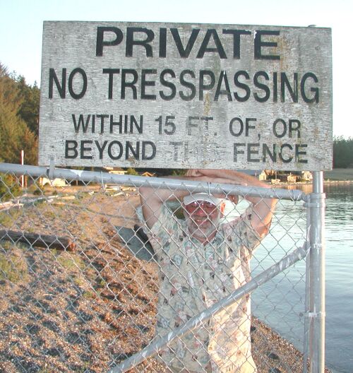 Rebel Tyboo.jpg