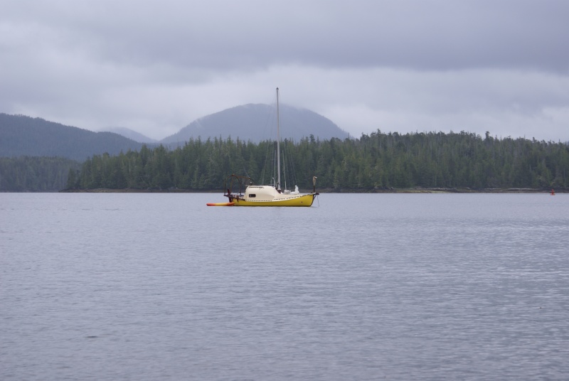 Recently (2025) discovered I had photographed "Water Spirit" near Bella Bella in 2014, before I encountered it in Petersburg. DSC06321
