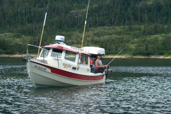 Red Fox fishing.JPG