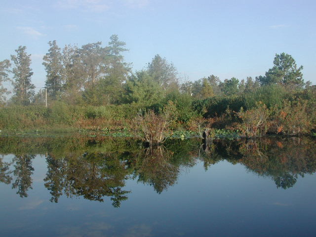 Reflections on the Pamunkey River (ICW)