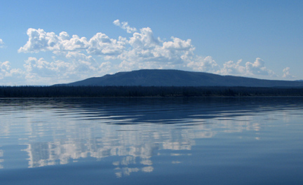 Reflections