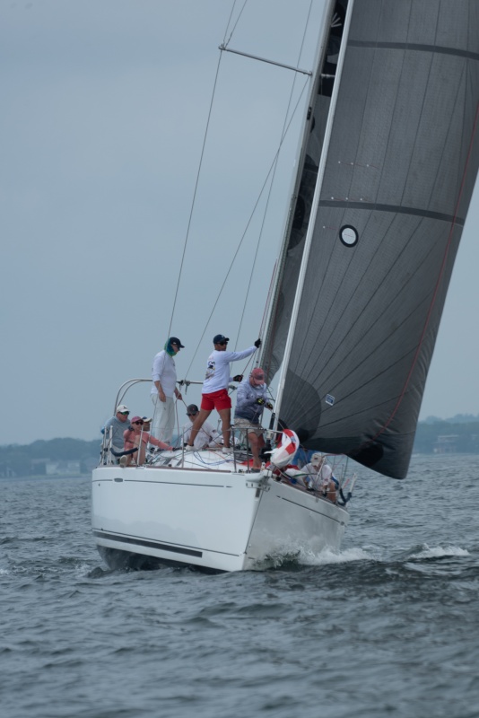 regatta6