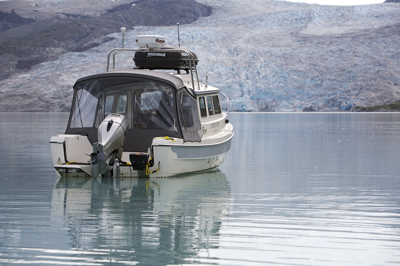 Reid Glacier, Glacier Bay NP, AK