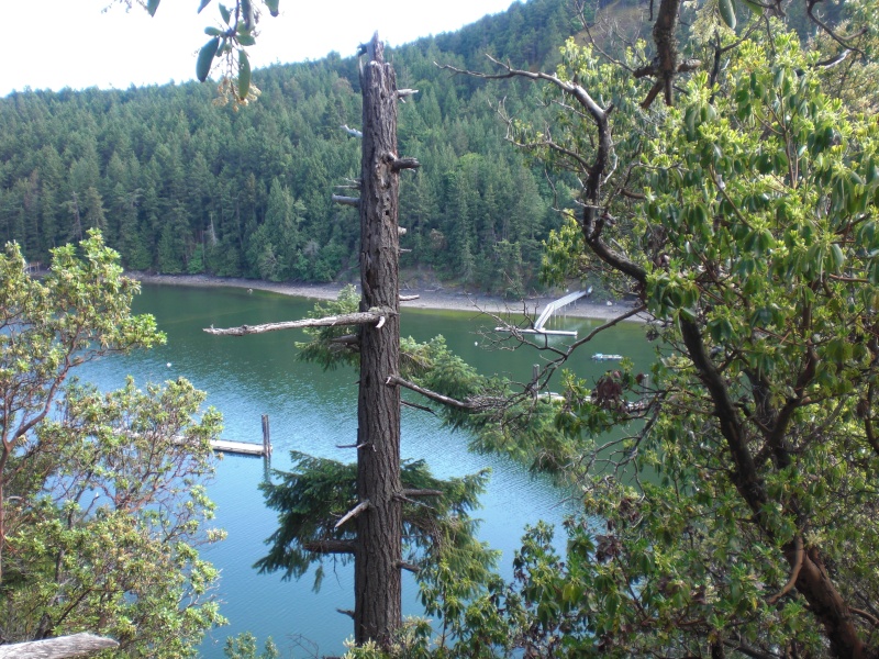 Reid Harbor, Stuart Island.