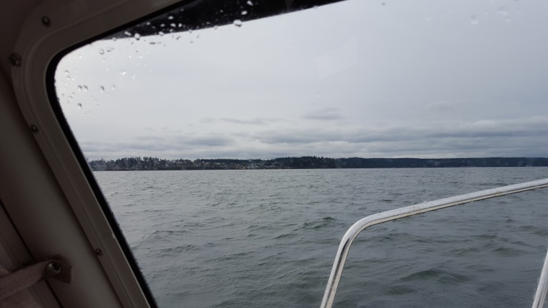 Relatively calm in Penn Cove for the first time out