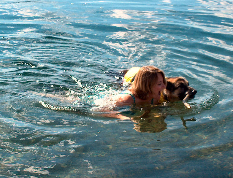 Retrievers
