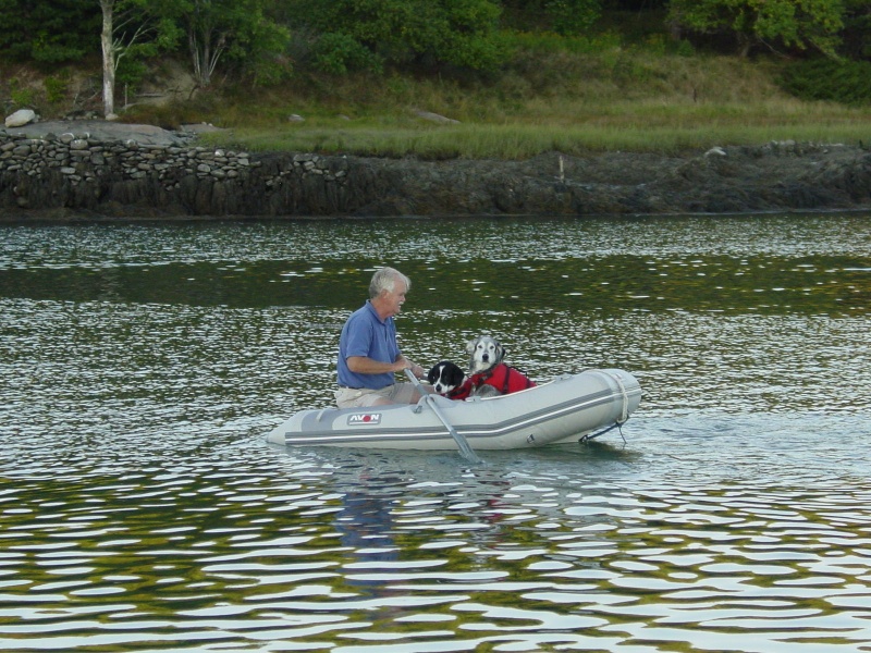 Returning from shore