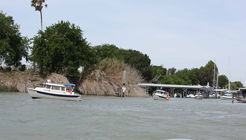Rio Vista 012a