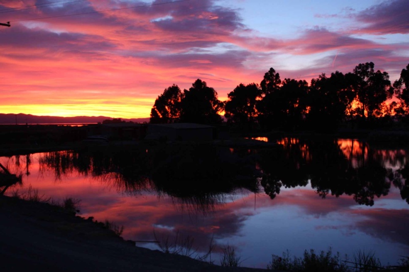 Rio Vista 021a