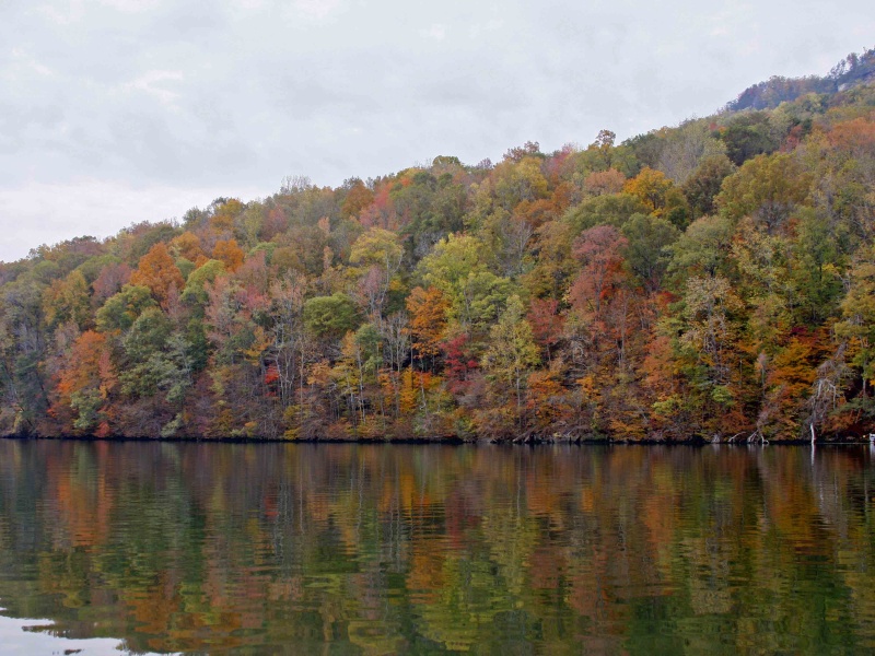 River Gorge reflections