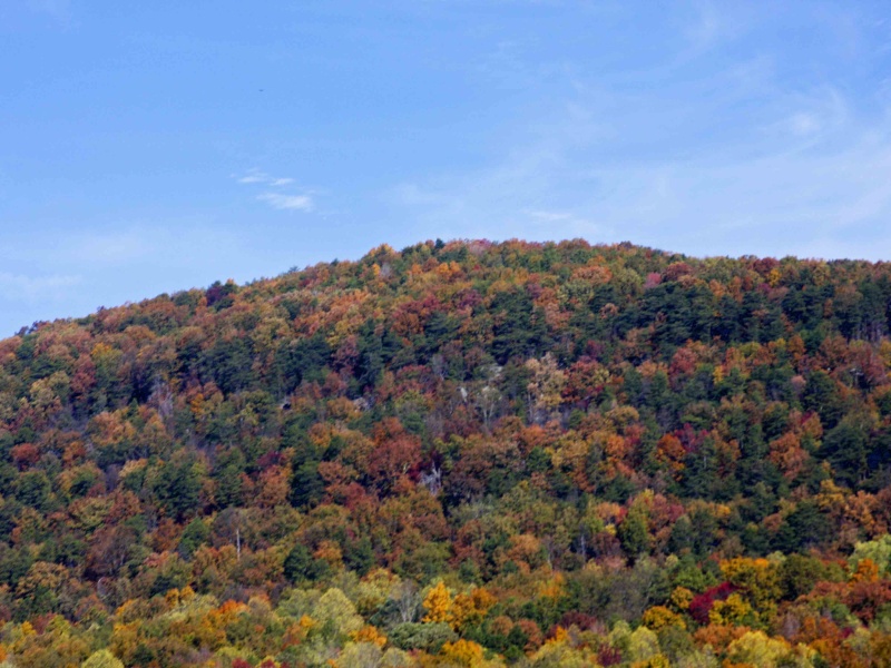 River Gorge Tapestry